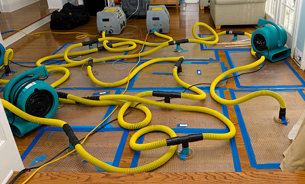 Professional Structural Drying And Dehumidification technician working in Chester, IL